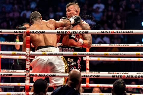 Image result for Pascal Fight