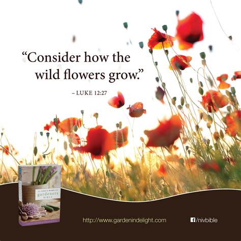 Bible Verses About Gardens ~ Best Wallpaper Rosella Watts
