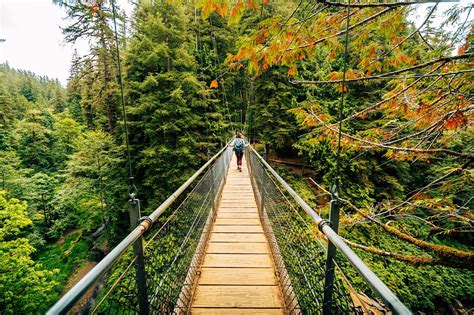 Suspension Bridge Hike Oregon at Charles Betz blog