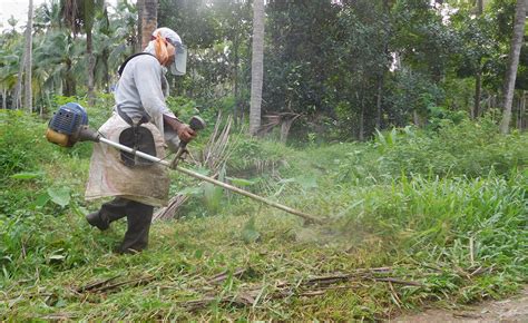 Dengue and other viral fevers are afflicting almost every house in ...