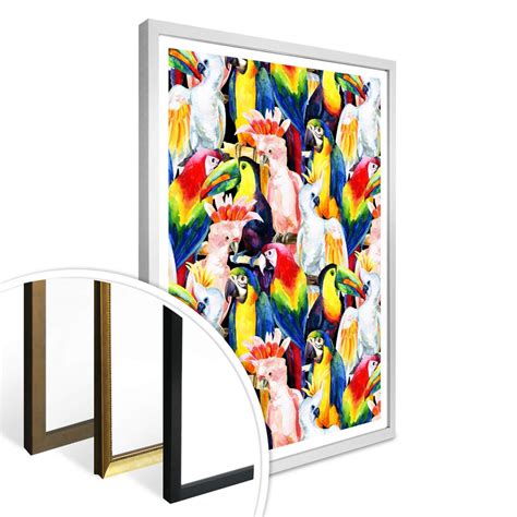 Poster Tropical Birds | wall-art.com