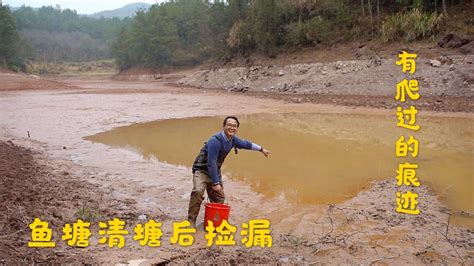 【杨队长视频】四川农村：鱼塘太大了，村民划船去打鱼，一网打了1千多斤鱼！ - YouTube