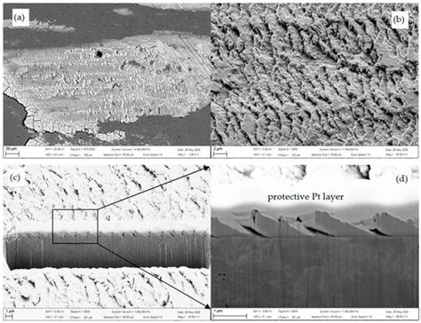 Tribochemistry of Transfer Layer Evolution during Friction in HiPIMS W ...