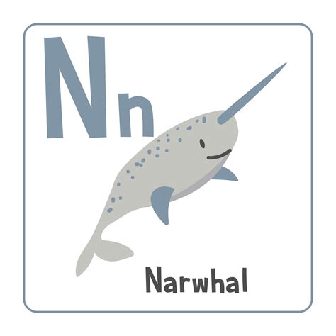 Narwhal clipart. Narwhal vector illustration cartoon flat style ...