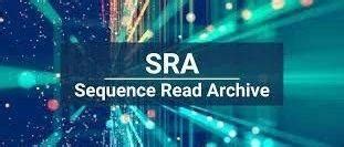 FastQC Tutorial Windows 的图像结果