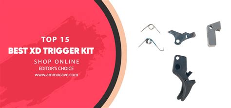 Image result for Springfield XD 9Mm Trigger Kit