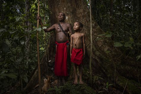 Forest Half the Size of Jakarta Will Be Lost - Yayasan Pusaka Bentala Rakyat - size of jakarta