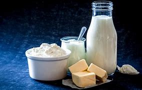 Image result for dairy