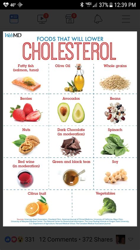 Free Printable Low Cholesterol Diet Plan Guide - Printables for Everyone