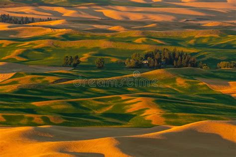 华盛顿州 帕卢斯 的图像结果