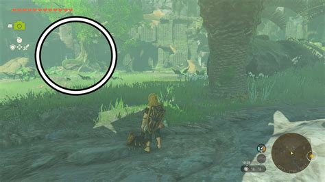 Find the Fifth Sage and Secret of the Ring Ruins walkthrough for Zelda ...