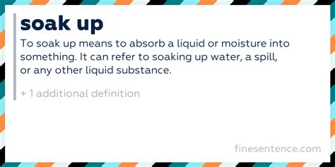 Soak up - Definition, Meaning, and Examples in English
