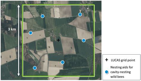 Six Steps towards a Spatial Design for Large-Scale Pollinator ...