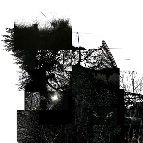 SUBURBIJSKI HERBARIJ | Duška Boban