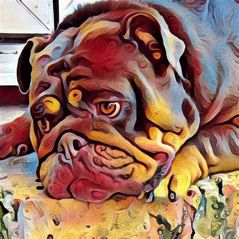 Pet Portraits Artist – Custom Pet Portraits that Capture Unique Fur ...