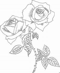 gratis malvorlagen prophytarose ausmalbild malvorlage blumen gratis malvorlagen prophytarose ausmalbild malvorlage blumen