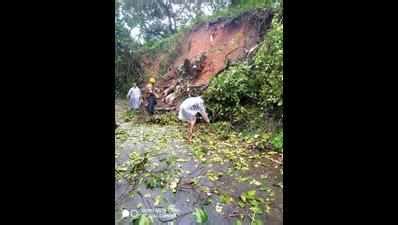 Rainfall triggers landslide in Agonda, trees on hillside in precarious ...