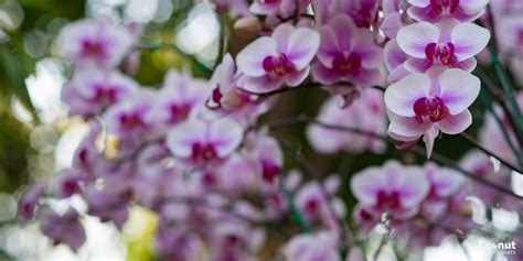 Image result for Basic HTML Tags for Insert and Add