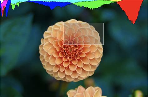 Image result for For Loop JavaScript SetPixel Observable