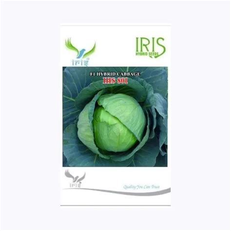 Buy Iris IHS-801 Cabbage Seeds Online at Best Price - KisanShop