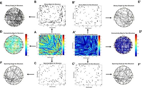 Image result for Connectivity Matrix