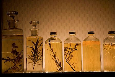 Infusion Extraction Method Procedure 的图像结果