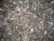 ORGANIC FARMING :: Manures