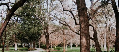 Tullahoma Funeral Home | Tullahoma TN funeral home and cremation