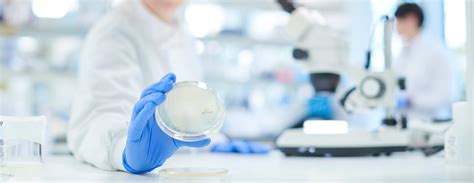 Stool ova and parasites exam