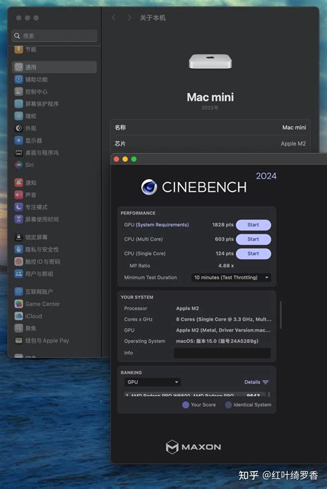 MacBook Mini 的图像结果