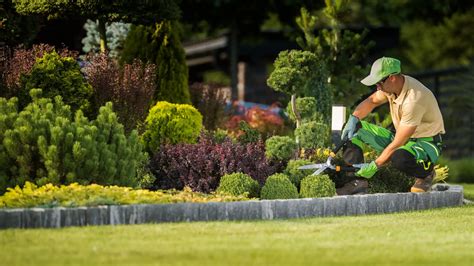 How to Start a Landscaping Business in the UAE? - Aviaan
