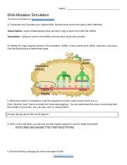 DNA Simulation Worksheet 的图像结果