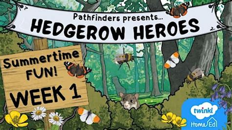 Pathfinders: Summertime Fun - Twinkl