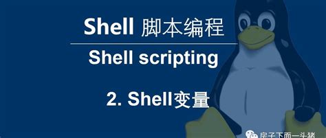 Shell编程综合案例 - 知乎