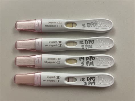Frer Test Pregnancy