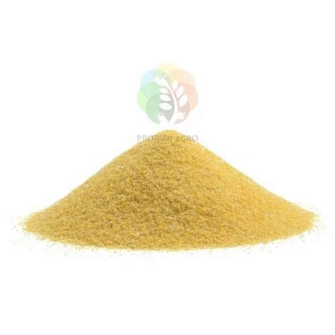 Prorich Agro Foods - Manufacturer of Rice DDGS & Corn Gluten from Panchkula