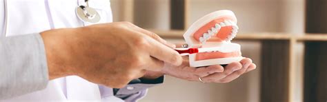 Dental Hygiene and Teeth Brushing Advice | Pepsodent