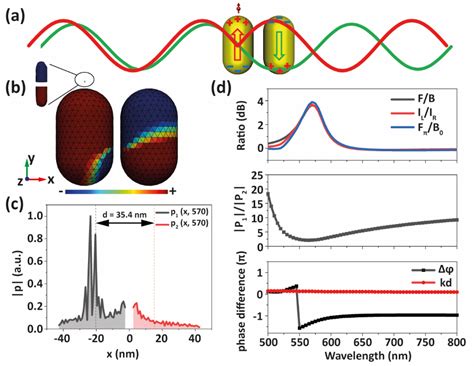 Optical Ultracompact Directional Antennas Based on a Dimer Nanorod ...
