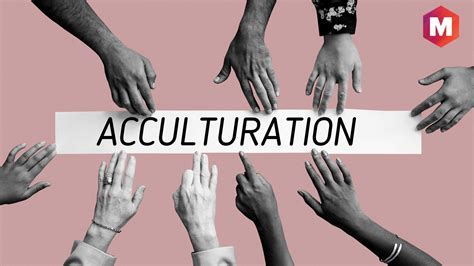 Acculturation - Overview, Process and Strategies | Marketing91