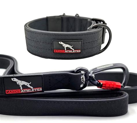 Canine Athletes | AP-Sport Waterproof Collar & Leash Bundle - Strong