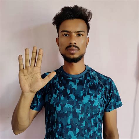 Image result for Random Forest Algorithm Used for Sign Language Detection