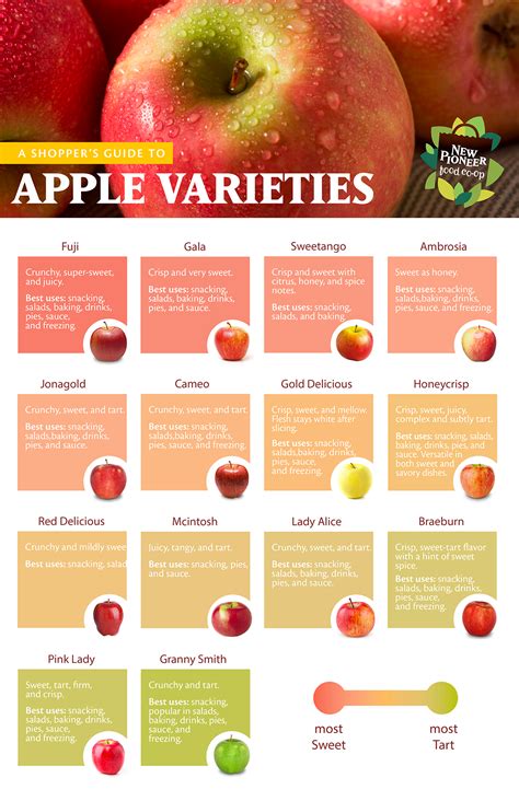Apple Varieties Chart