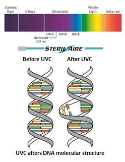 Image result for How Does UVC Work