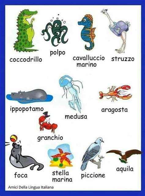 Pin by Ana Monteiro on IT'S | Animal pictures for kids, Funny pictures ...