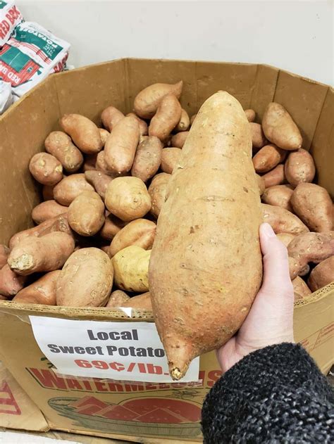 Glenwood Foods At Greencastle - 11440 Grindstone Hill Rd, Greencastle ...