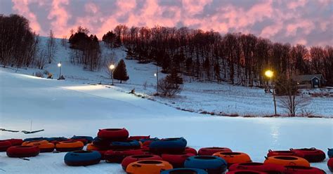 Are Eggs Vegetarian?