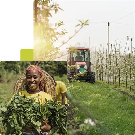 About Us – Sampurn Agri Ventures