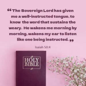 80+ Best Good Morning Bible Verses Wishes & Images To Start A New Day ...