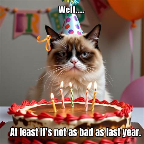 Top 5 Hilarious Grumpy Cat Birthday Memes You Can Generate with AI ...