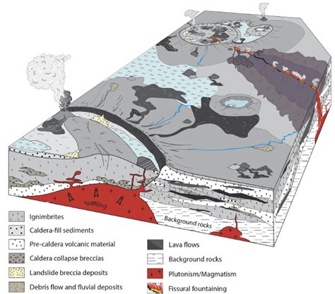Image result for Fissural Prodigy Evolution